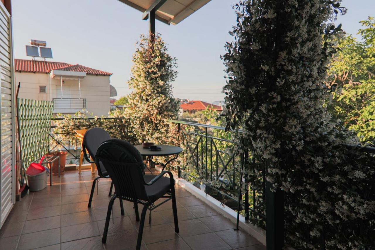 קמנה וורלה Tsertos Apartments מראה חיצוני תמונה